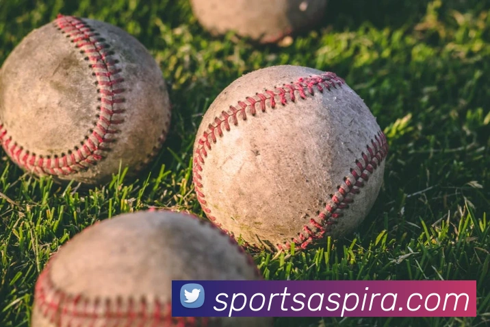 体育下注品牌故事